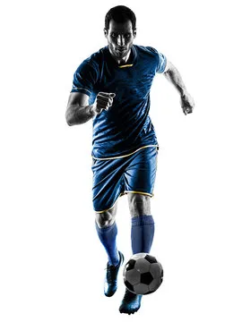 华体会体育 主要标志